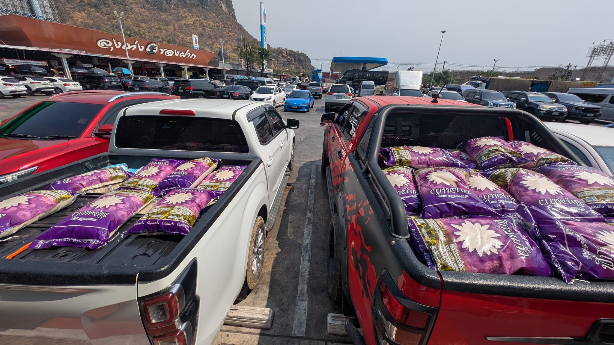 Two pickup trucks nose to tail in a roadside car park, both beds filled with purple sacks of rice, a limestone hill behind them