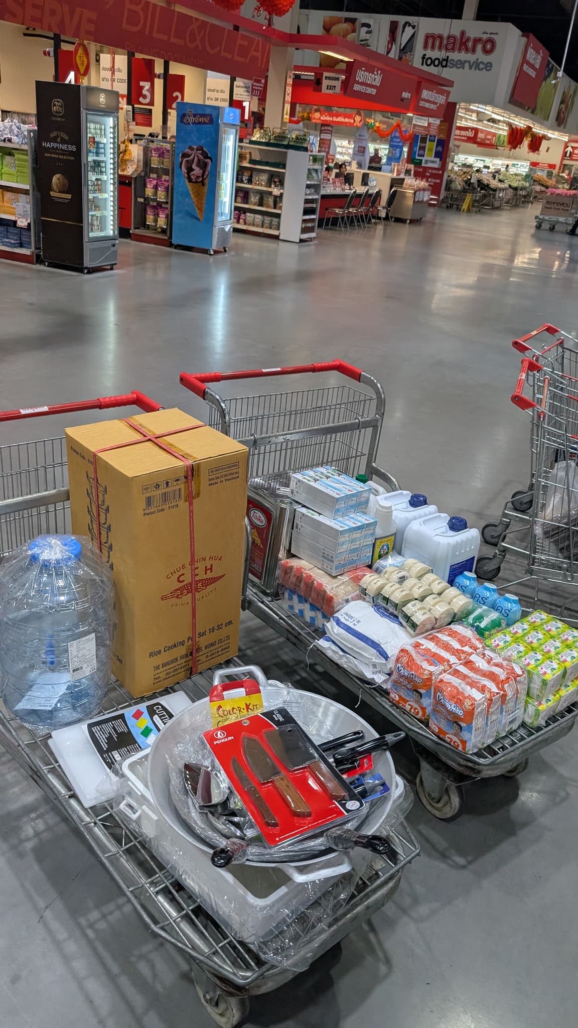 Three overflowing flatbed carts at Makro